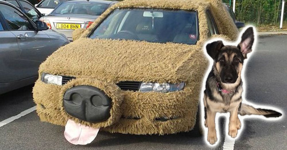 19 People Who Modded Their Cars With Fur
