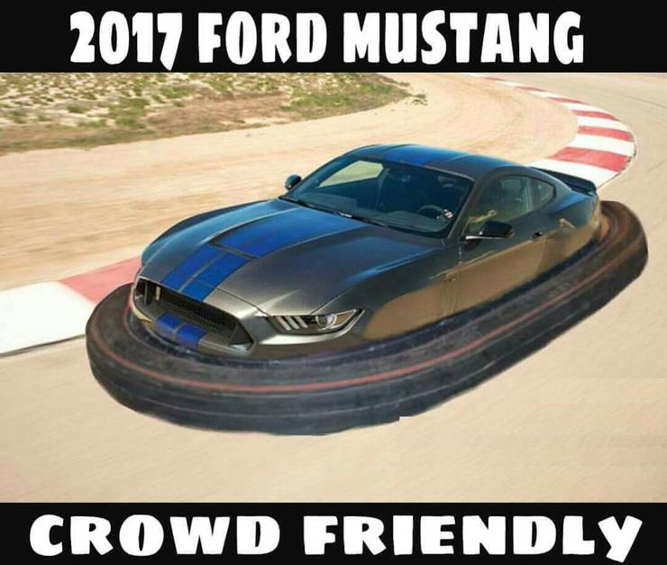 Can Choose A Bmw Mercedes Volvo Wants A Ford Bad Luck