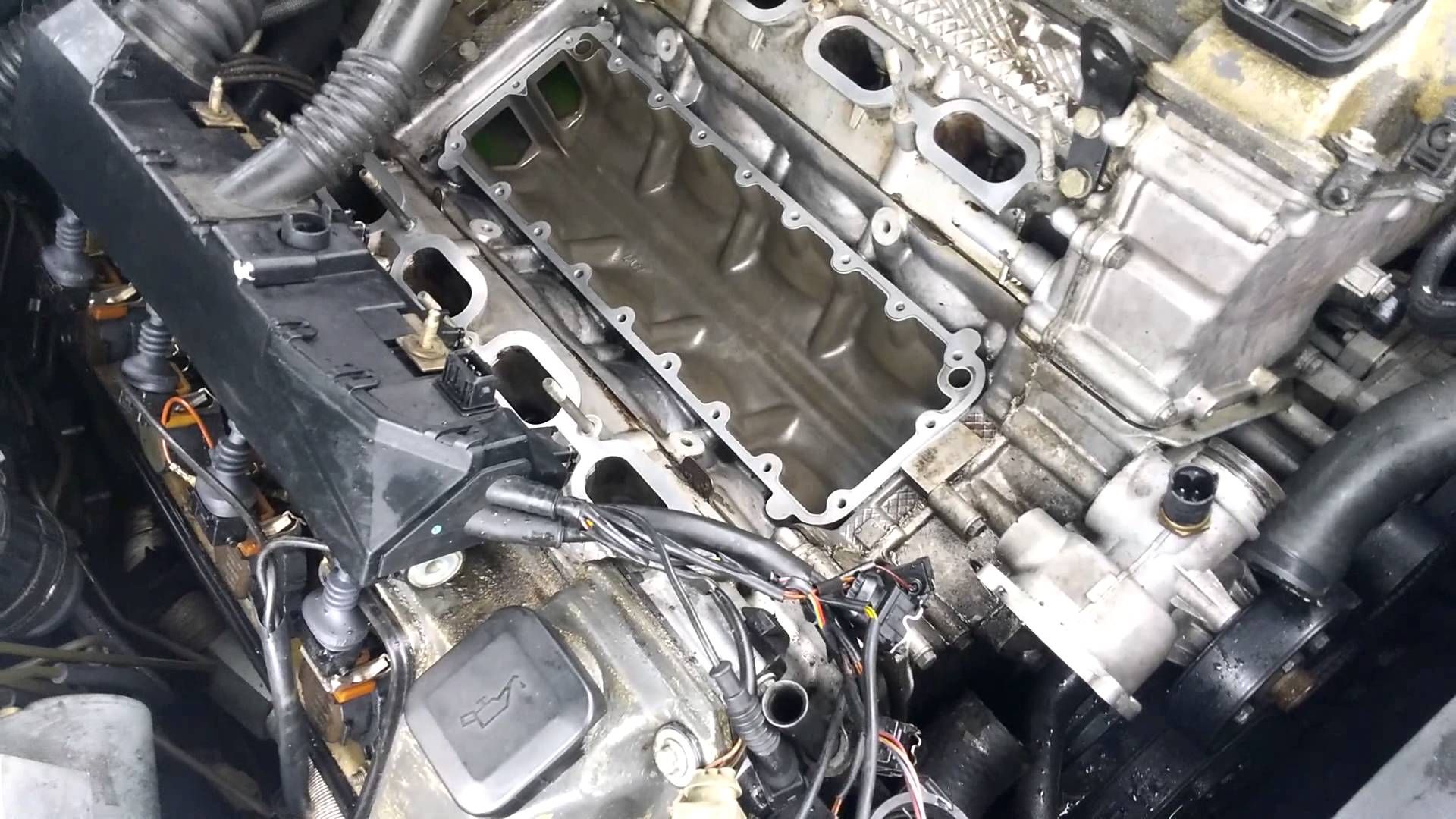 BMW engine coolant