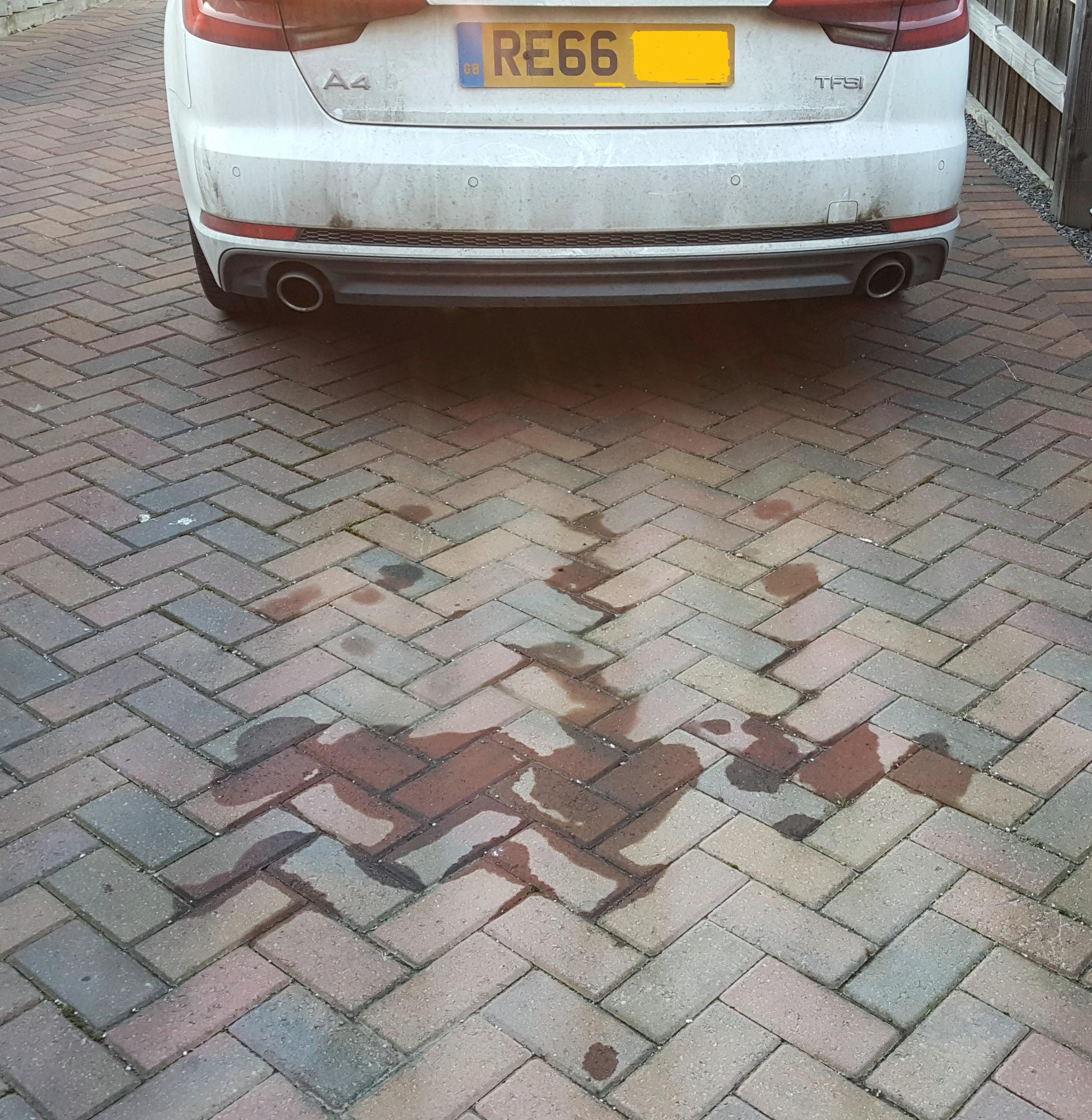 oil leaking from Audi car