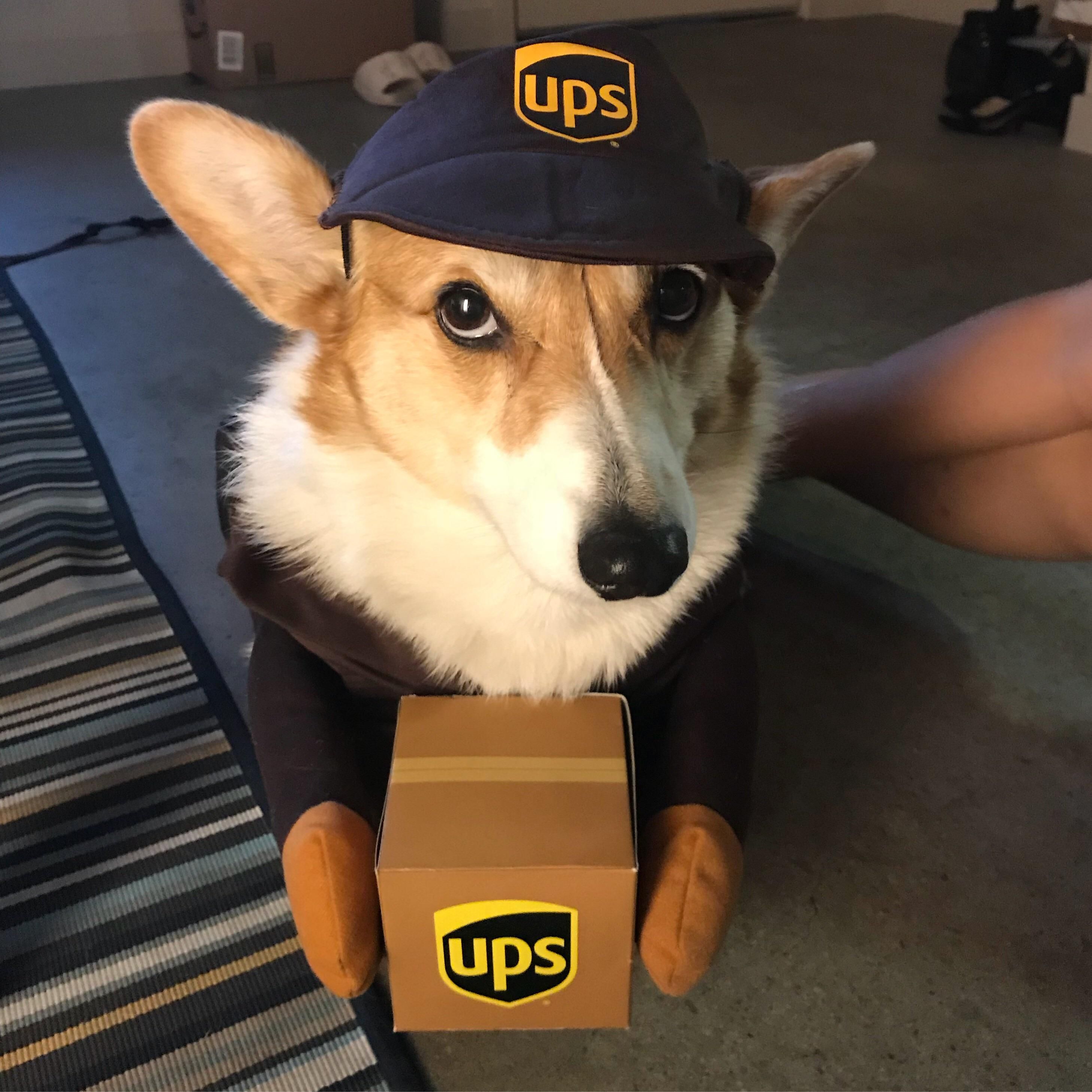 19 Things People Don’t Know About UPS Drivers