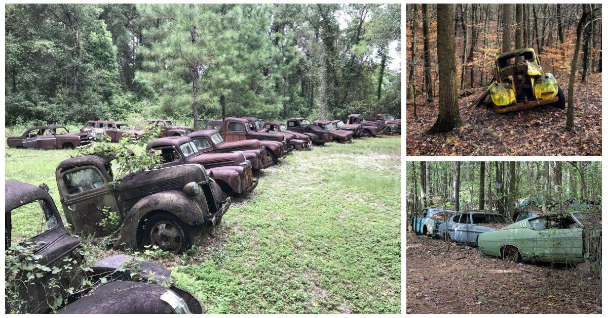 23 Photos Of Cars Left To Grow Wild In The Jungle