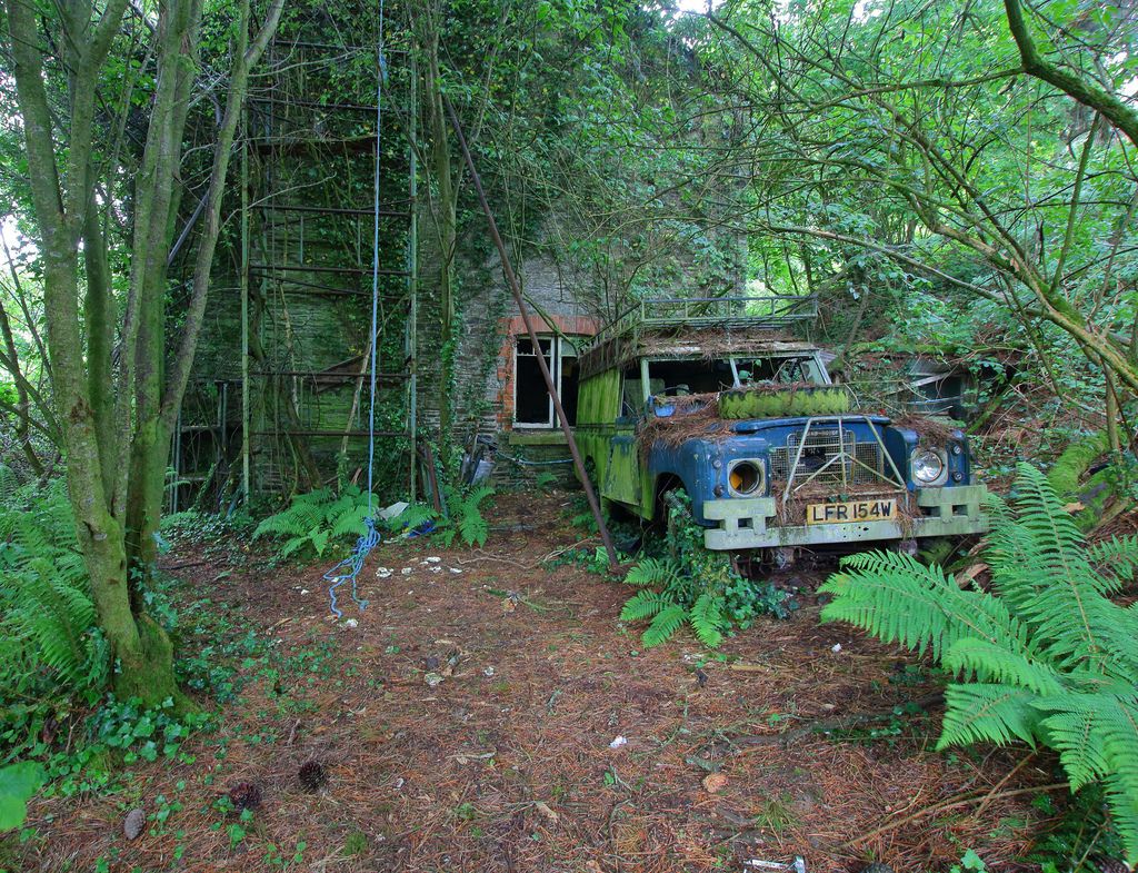 Super Car in Rainforest Rain Dark Sports Car Forest 