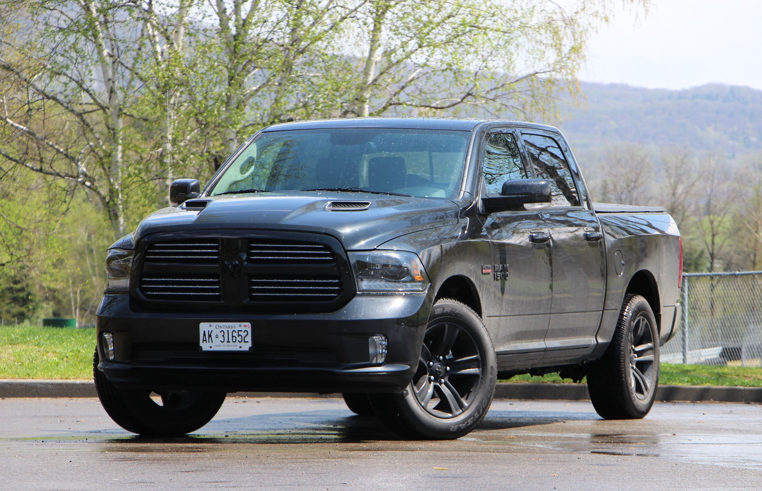 10 Special Edition Ford Pickups Worth A Fortune (And 10 Dodge Trucks)