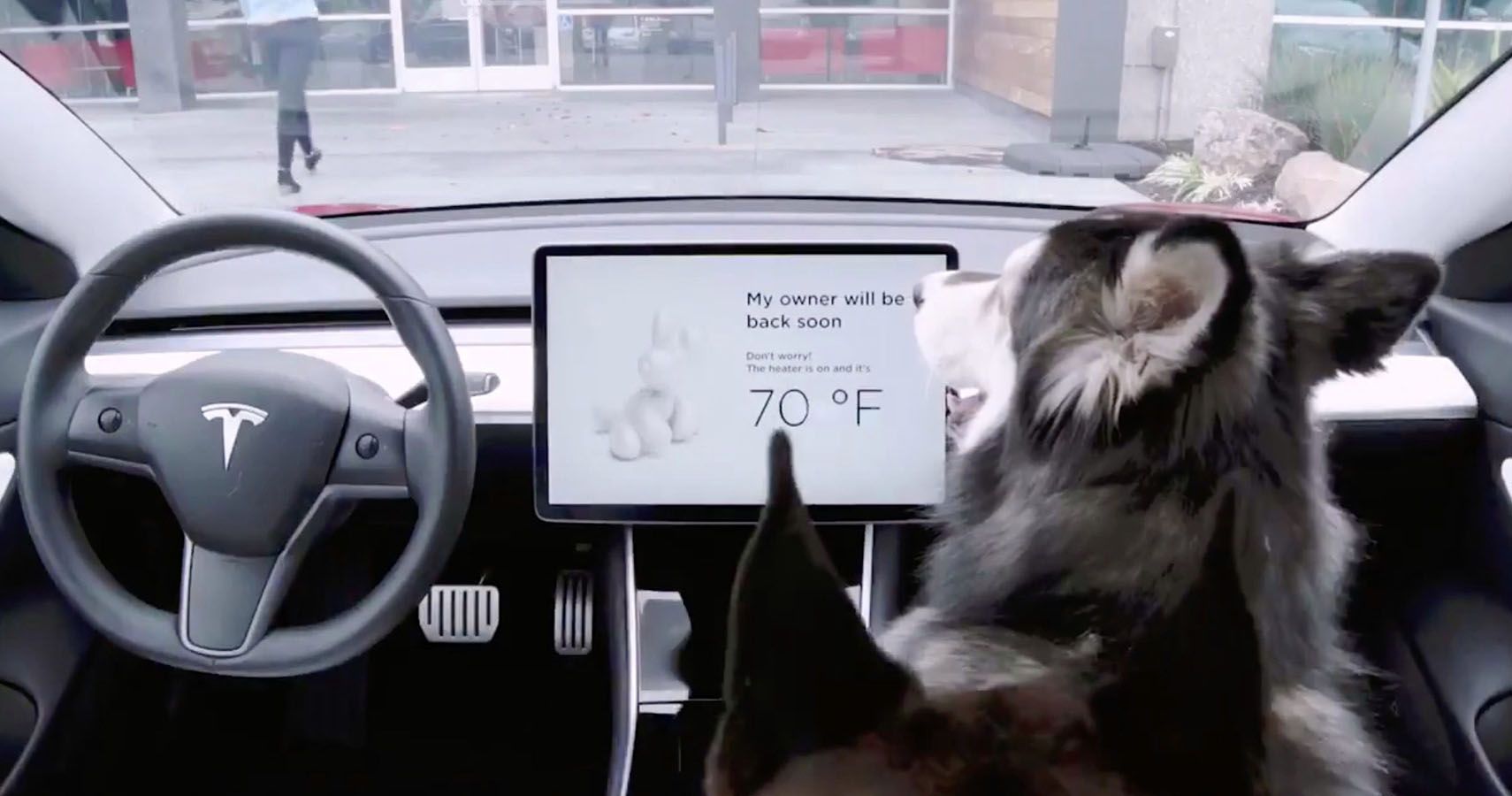 Tesla Keeps Dogs Safe With Keep Climate On Mode