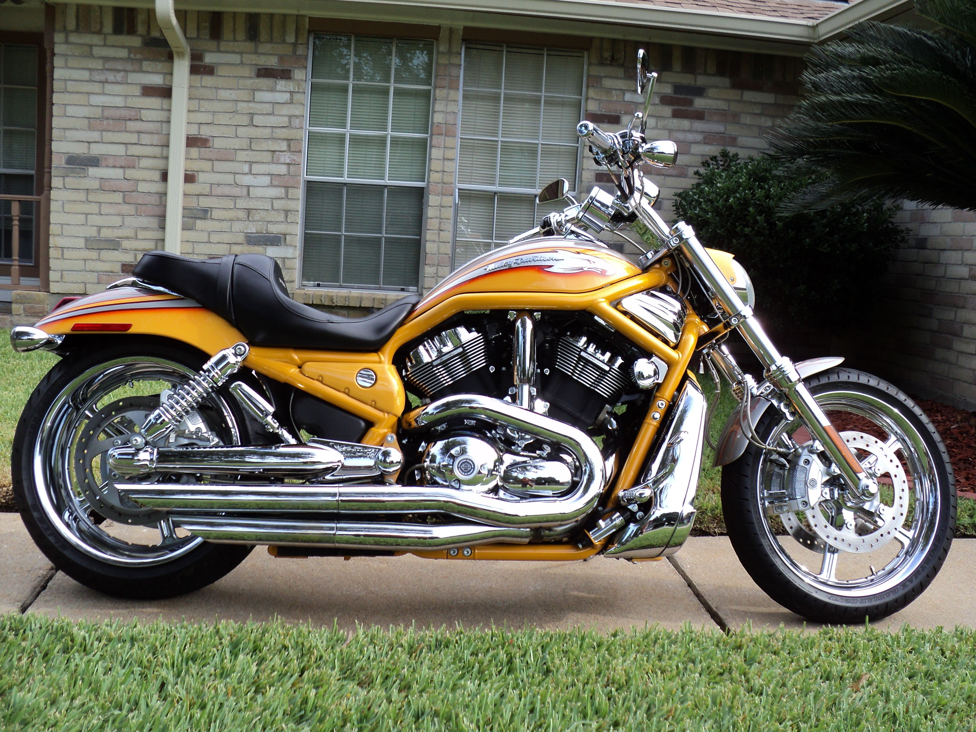 10 Best Harley Davidson Bikes Ever Made