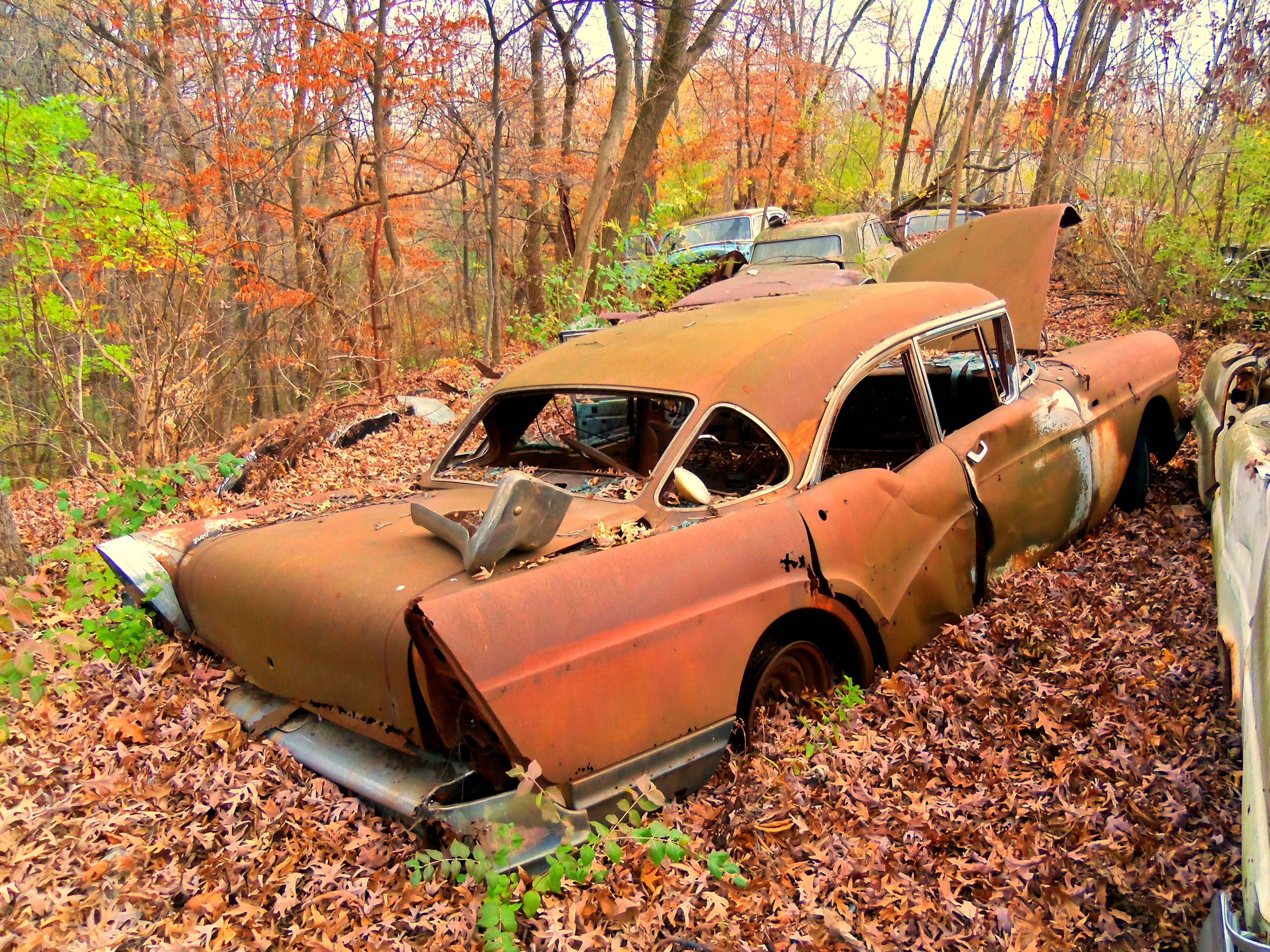 Old rusting cars
