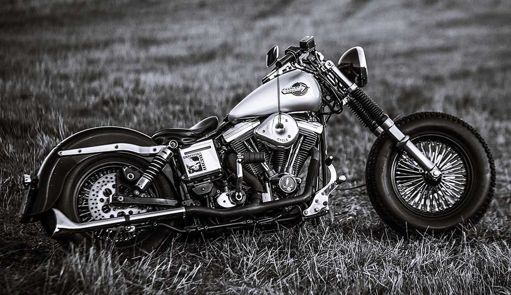 Harleys Are The Hardiest Engines Ever