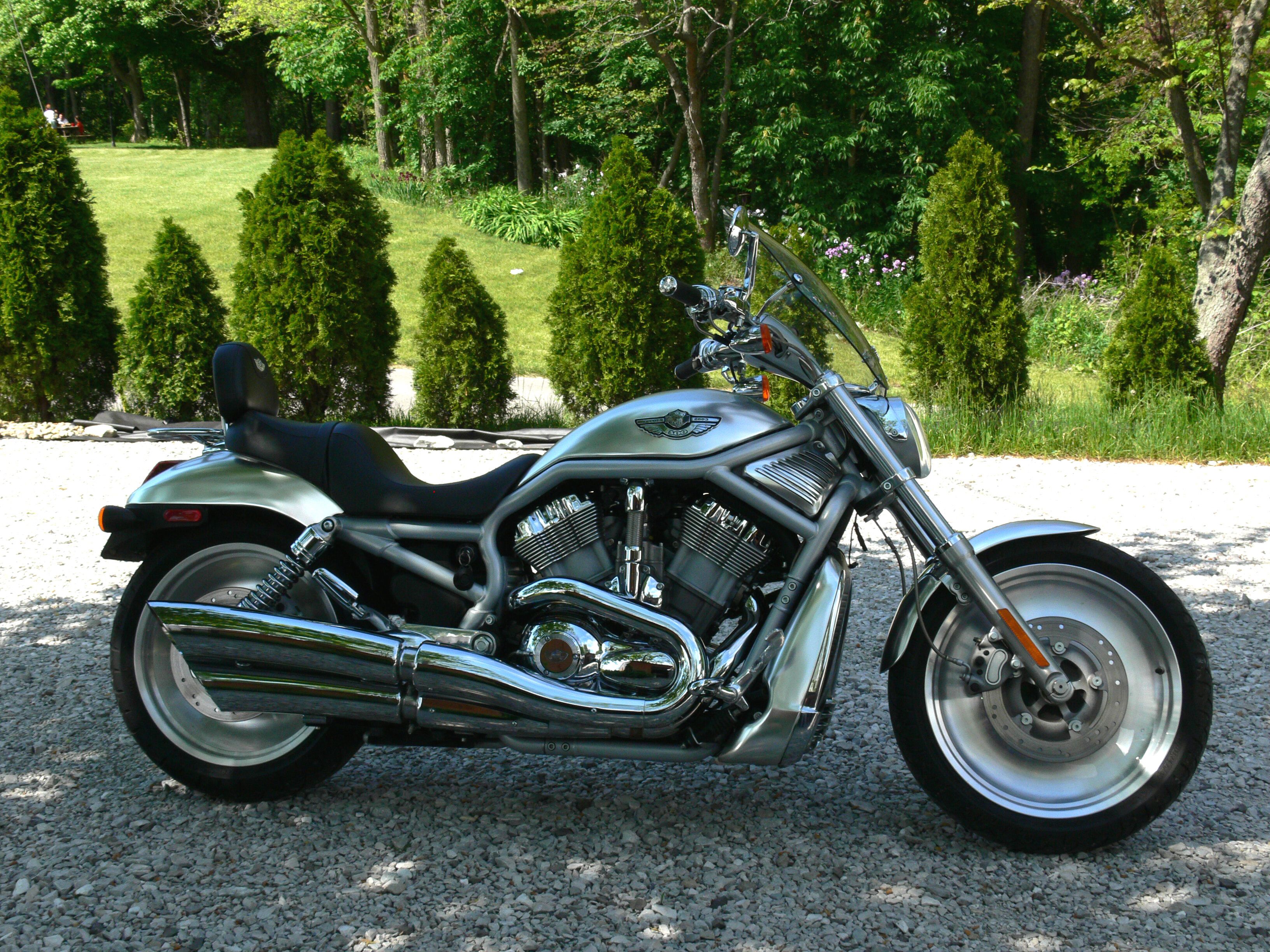 Harley V Rod Problems - hv1vy9e