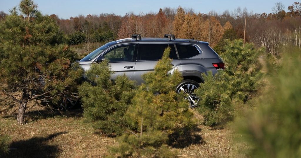 VW Car Tree