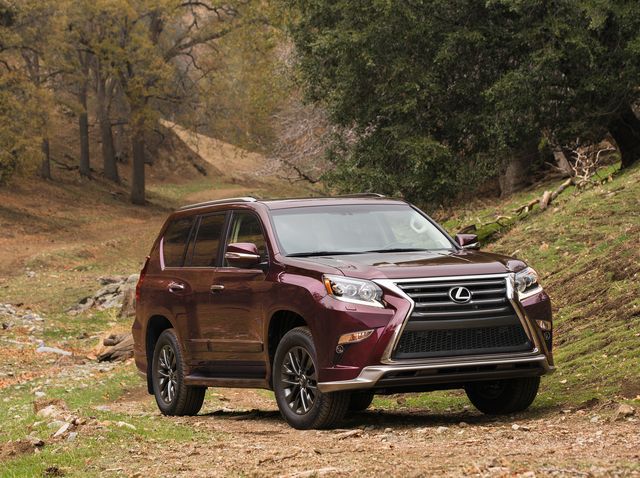 Cherry Red 2019 Lexus GX outdoors in a forest