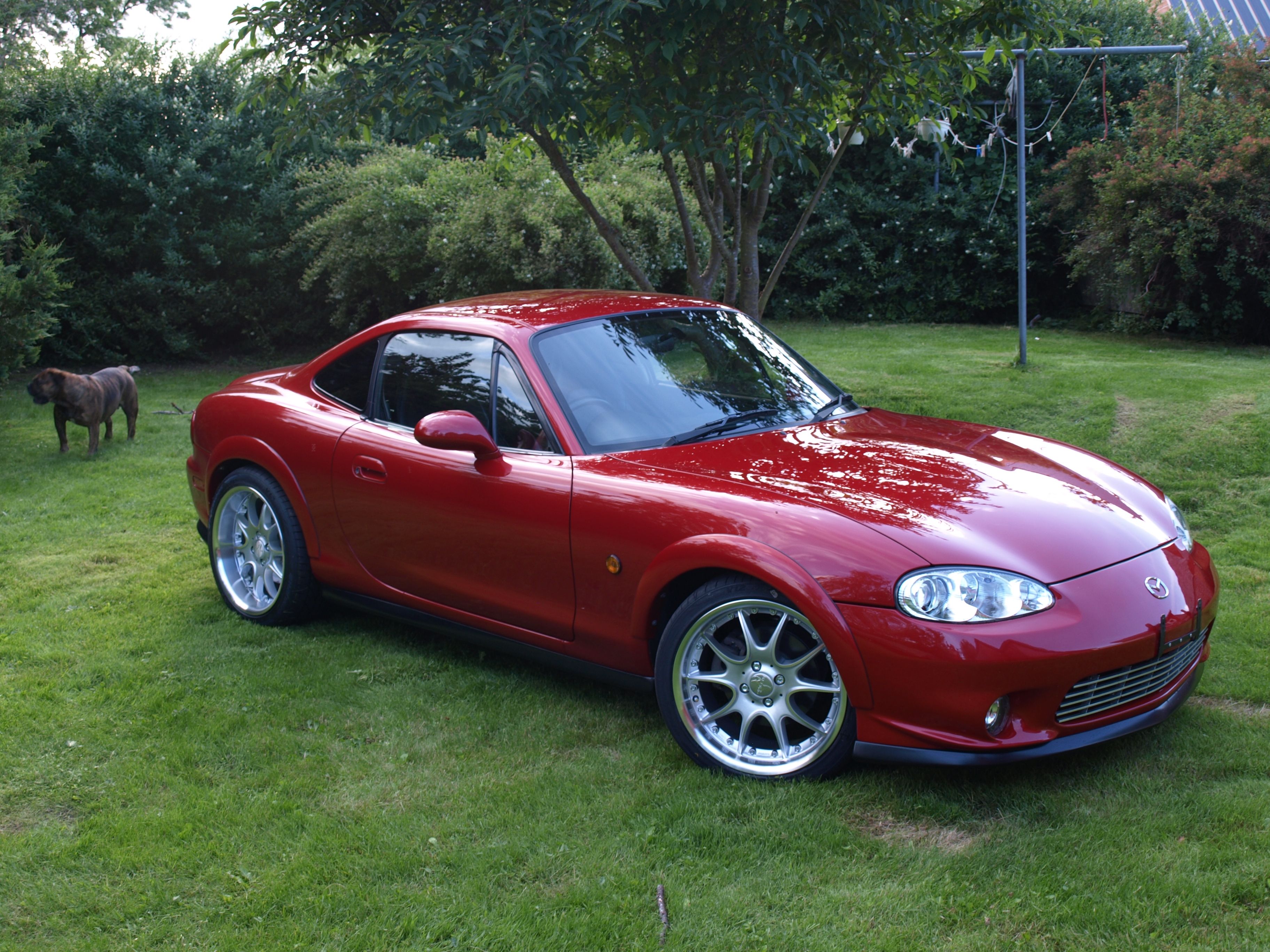 Check Out These LowMaintenance Sports Cars Even We Can Afford