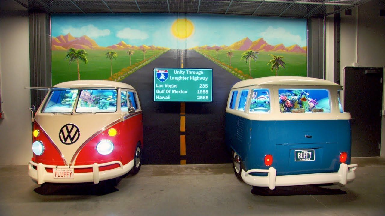 VW buses turned into aquariums