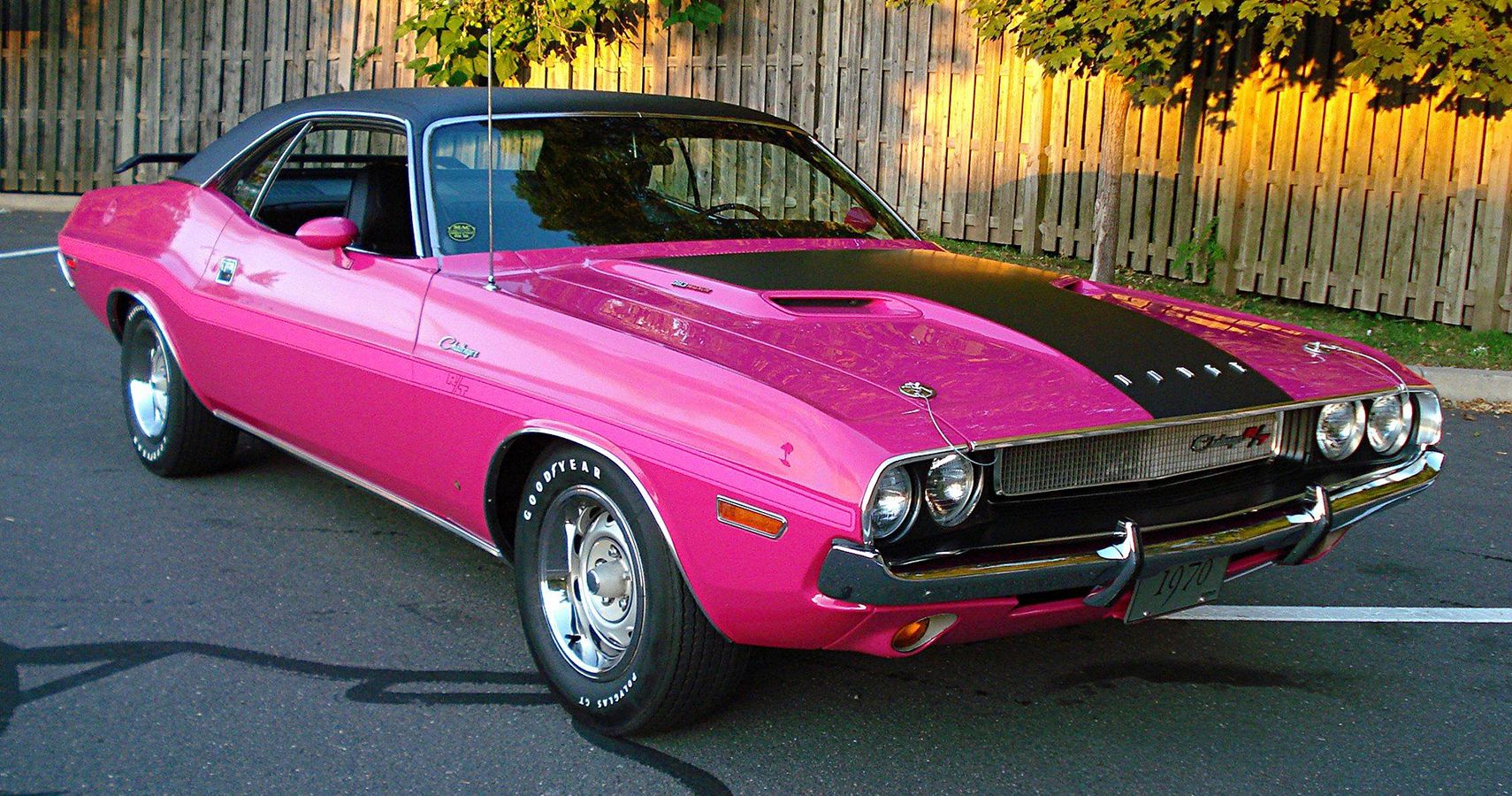 An Extremely Flushed Dodge Challenger R/T