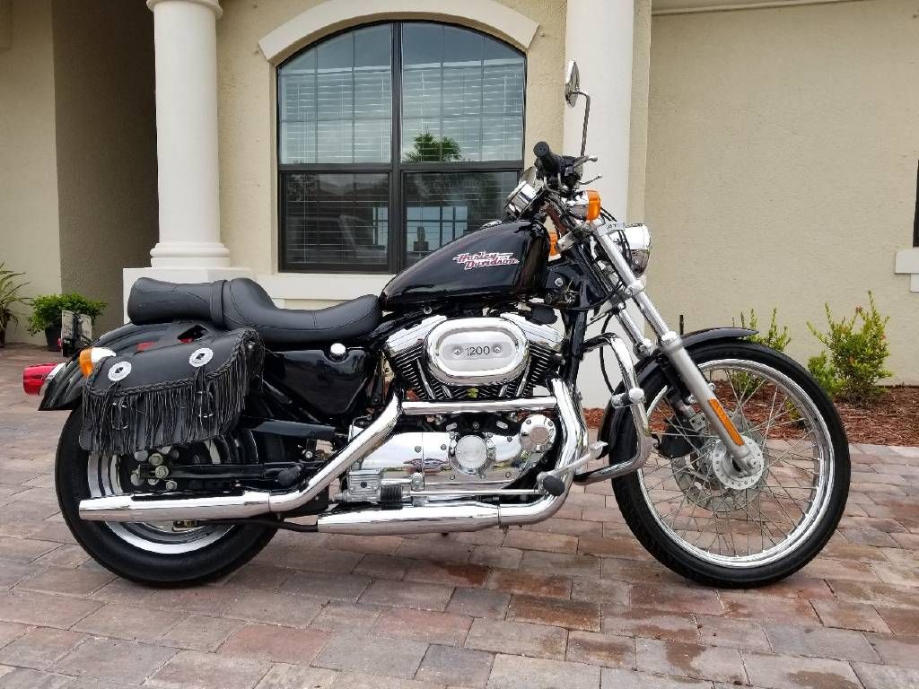 The 2007 Harley-davidson Xl1200n Sportster Nightster In Full Focus