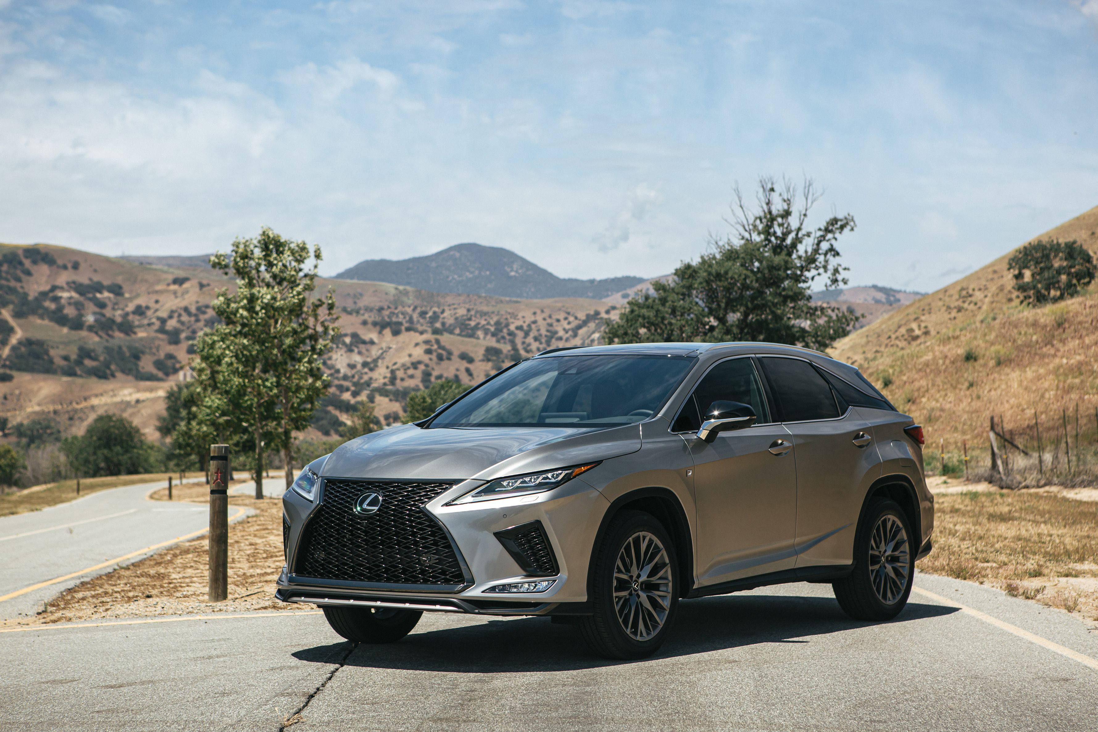 A 2020 Lexus RX 350 with a sprawling mountain view