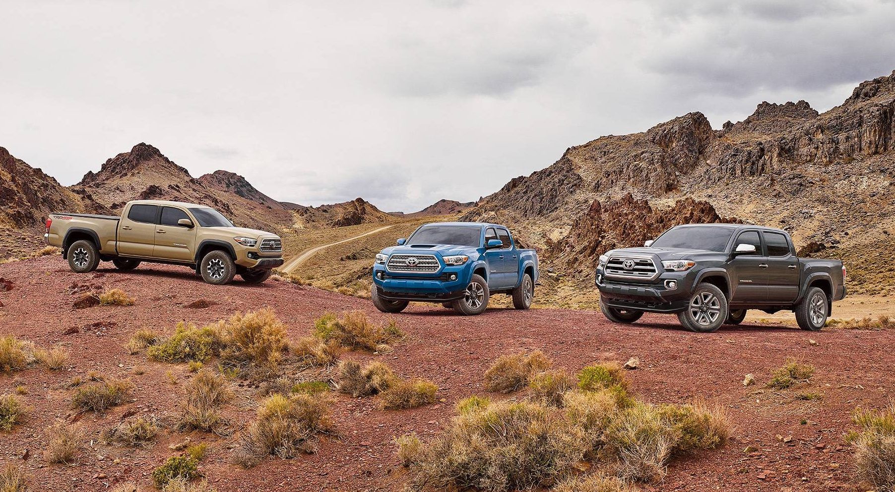 Toyota Tundra vs Toyota Tacoma: Which One Should You Buy?