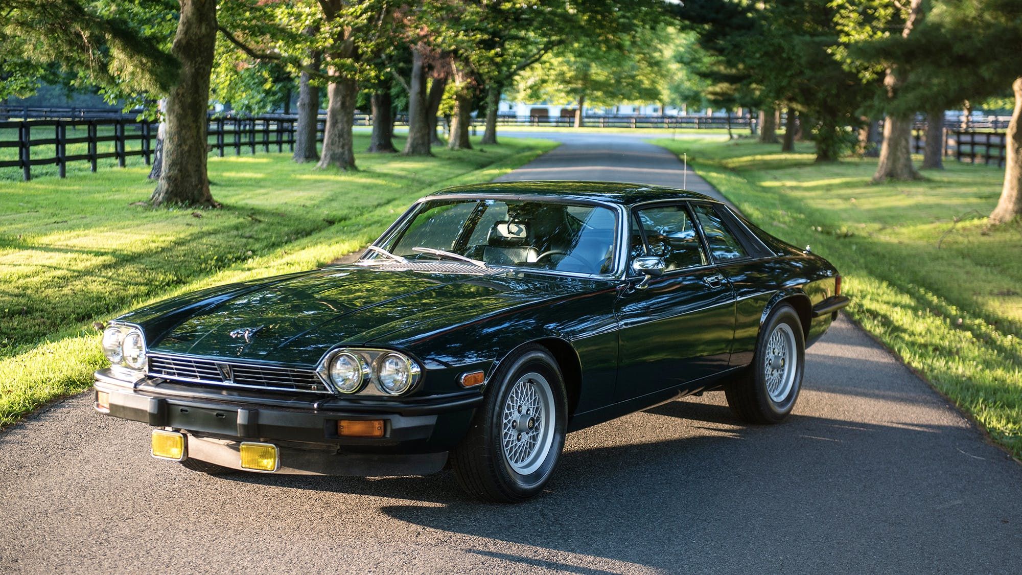 Jaguar-XJS