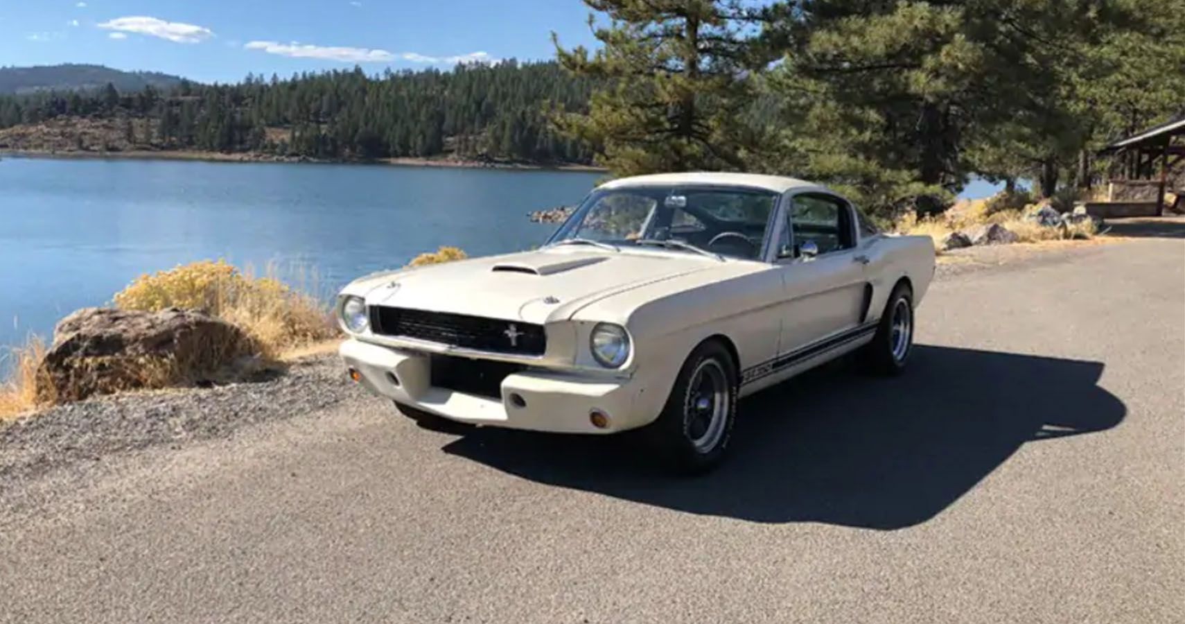 Ford Mustang Shelby GT350 Homemade