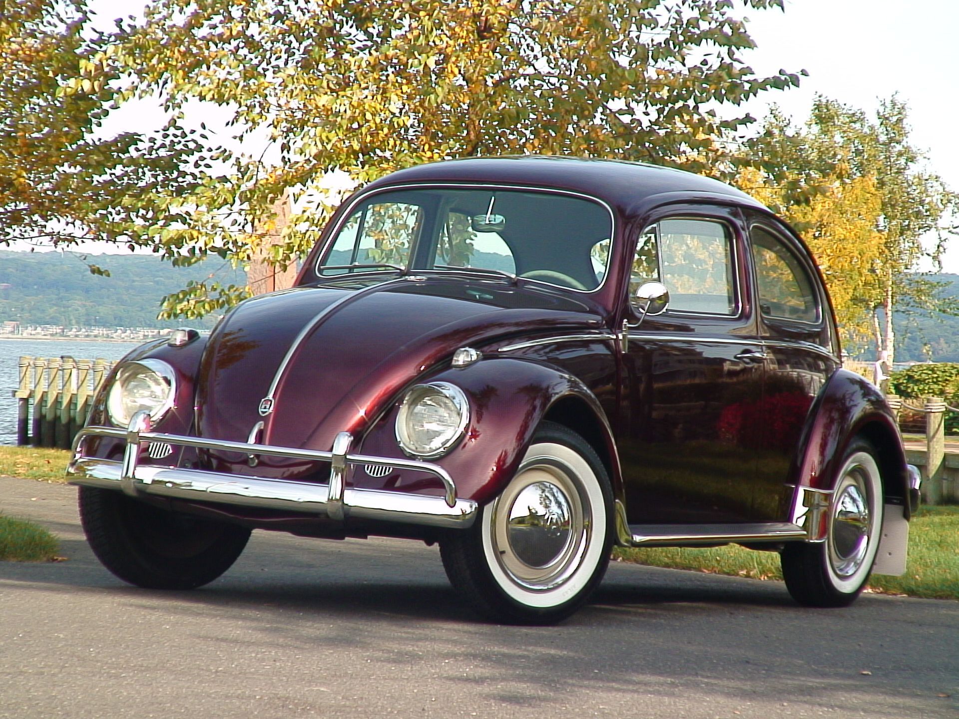 Dark Garnet red 1960 Volkswagen Beetle parked next to a coastal park