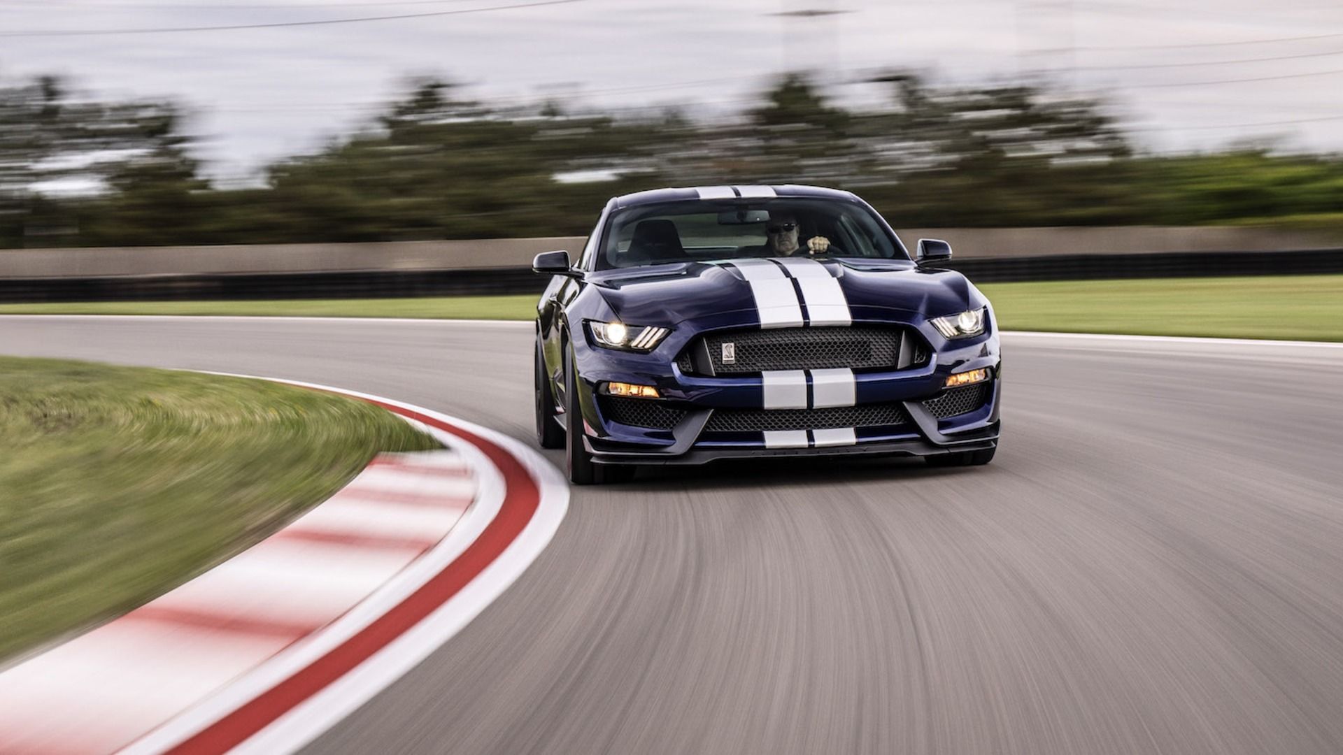 Shelby Mustang GT350 Track