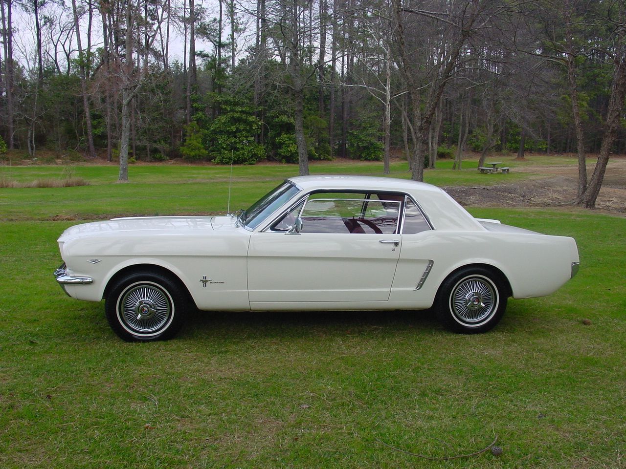 White Mustang from the side in a grassy field
