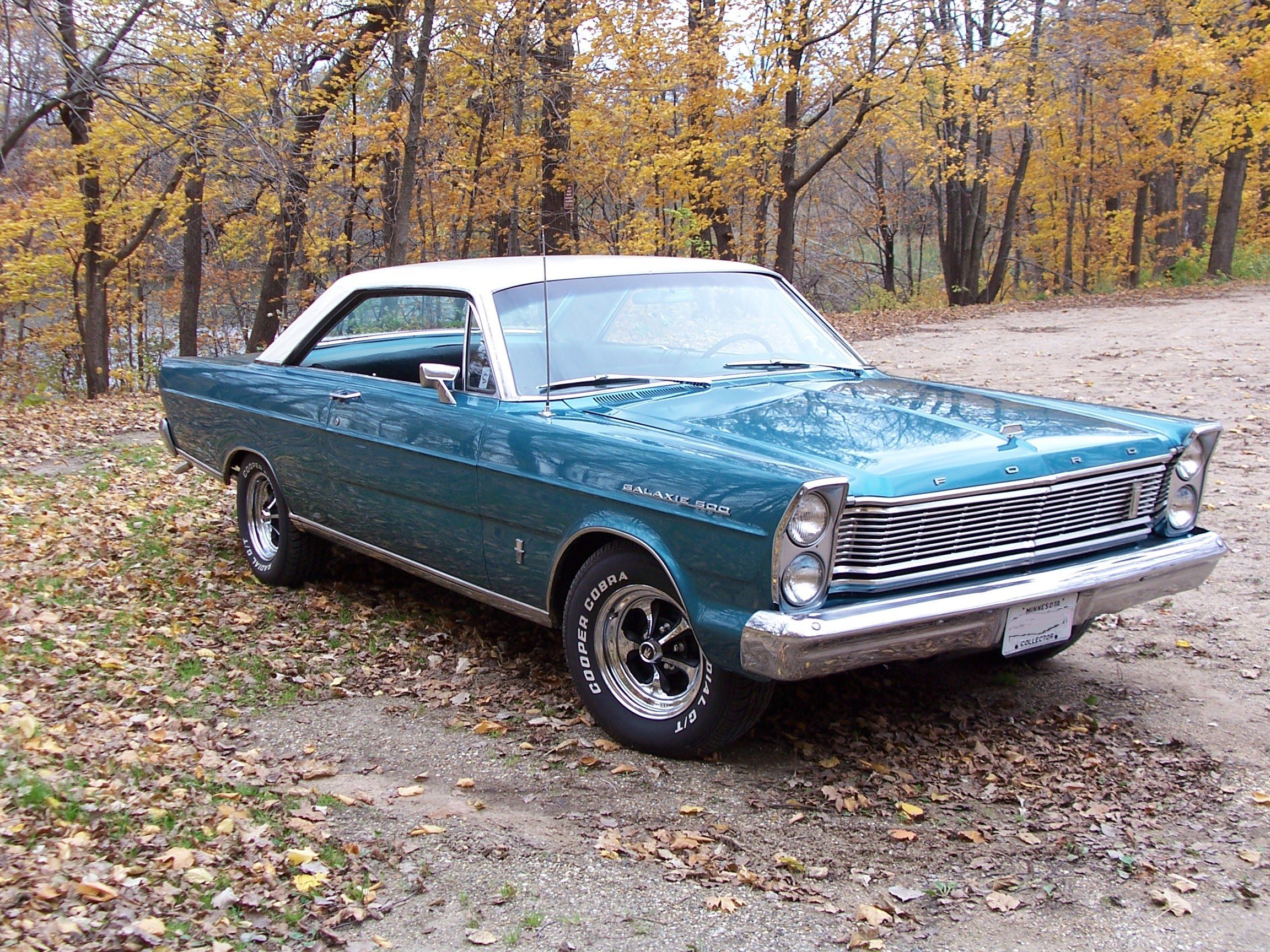 1965 Ford Galaxie parked at a park