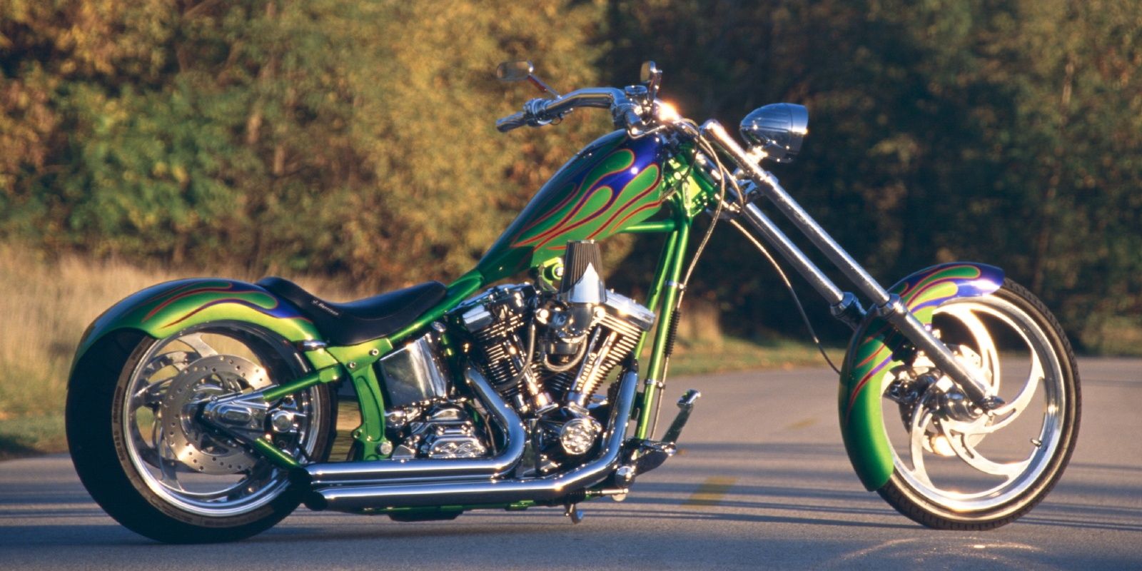 Custom 1997 Harley-Davidson Chopper