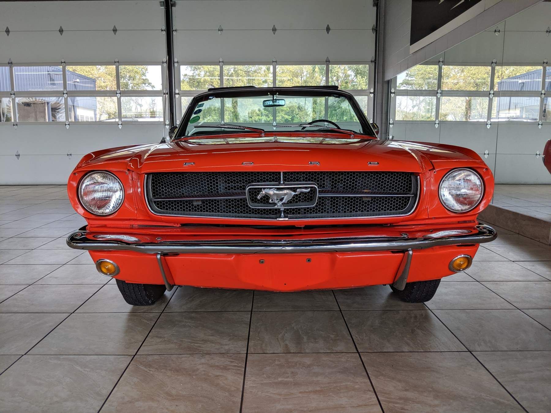 64.5 Mustang