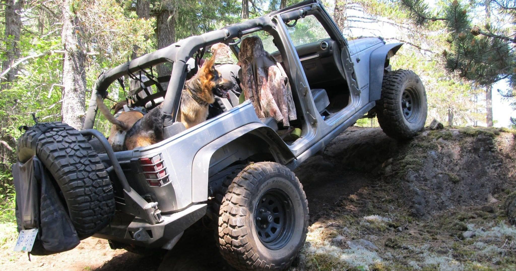 Is Your Dog Worthy Of Jeep's Top Canine Crown?