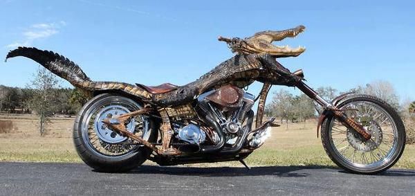 Rebel Rider: Crocodile on a Vintage Motorcycle