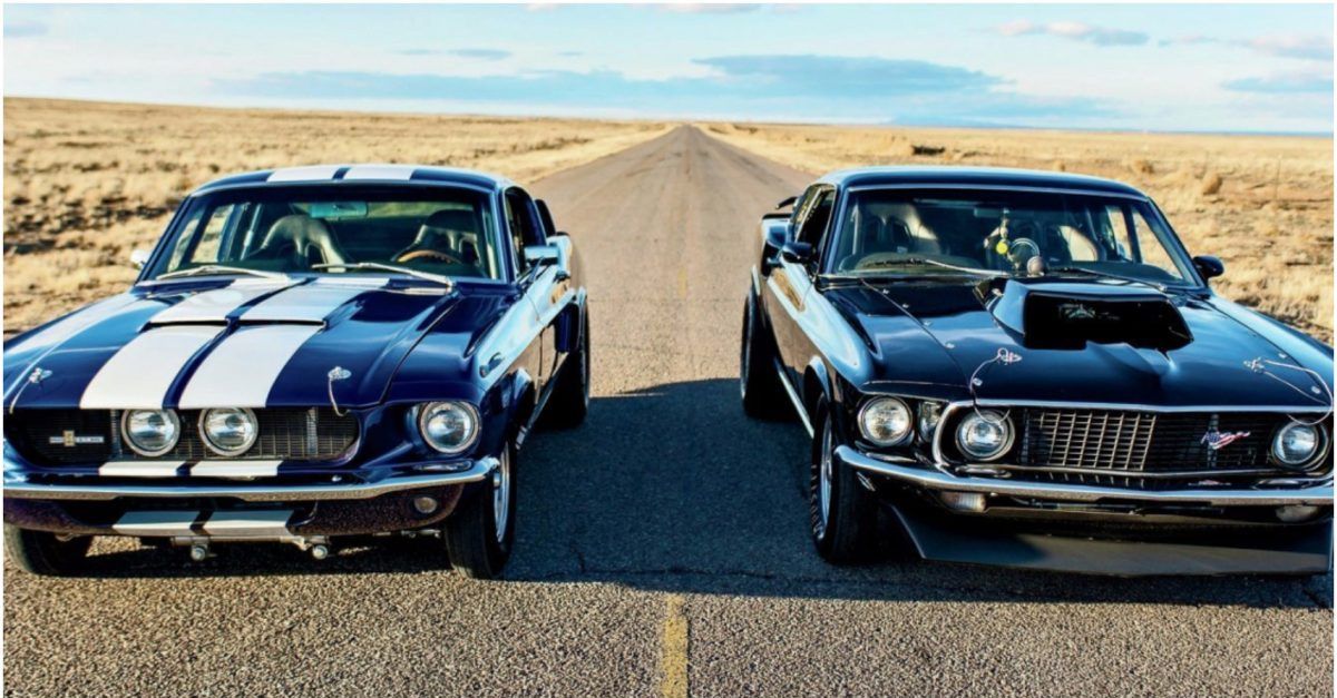 Ford Mustangs