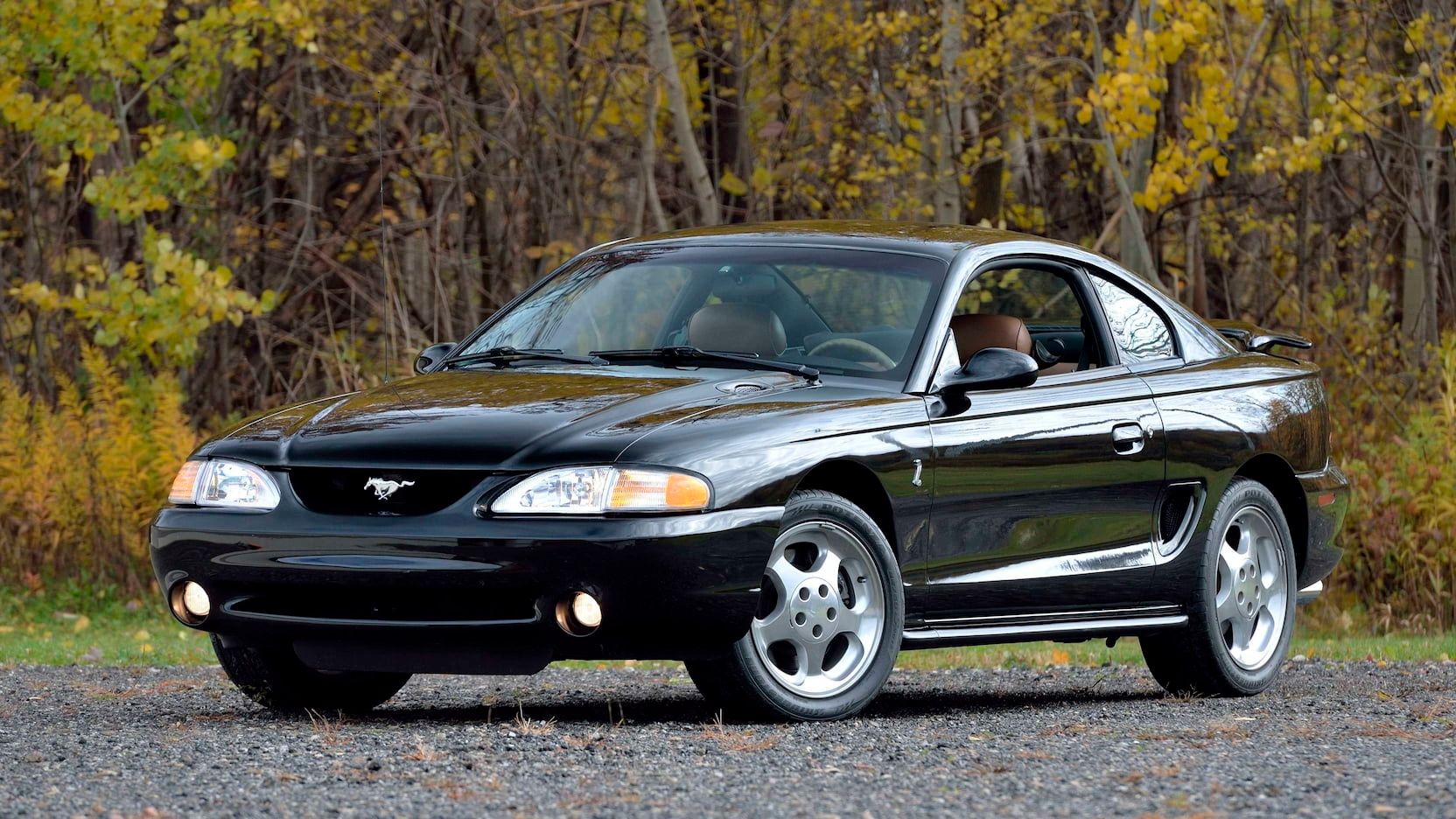 Black 1994 Mustang SN95 Parked