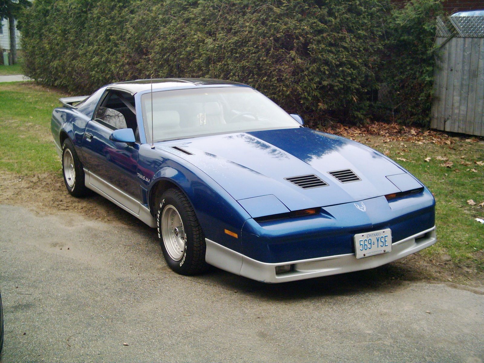 1982 Pontiac Firebird blue