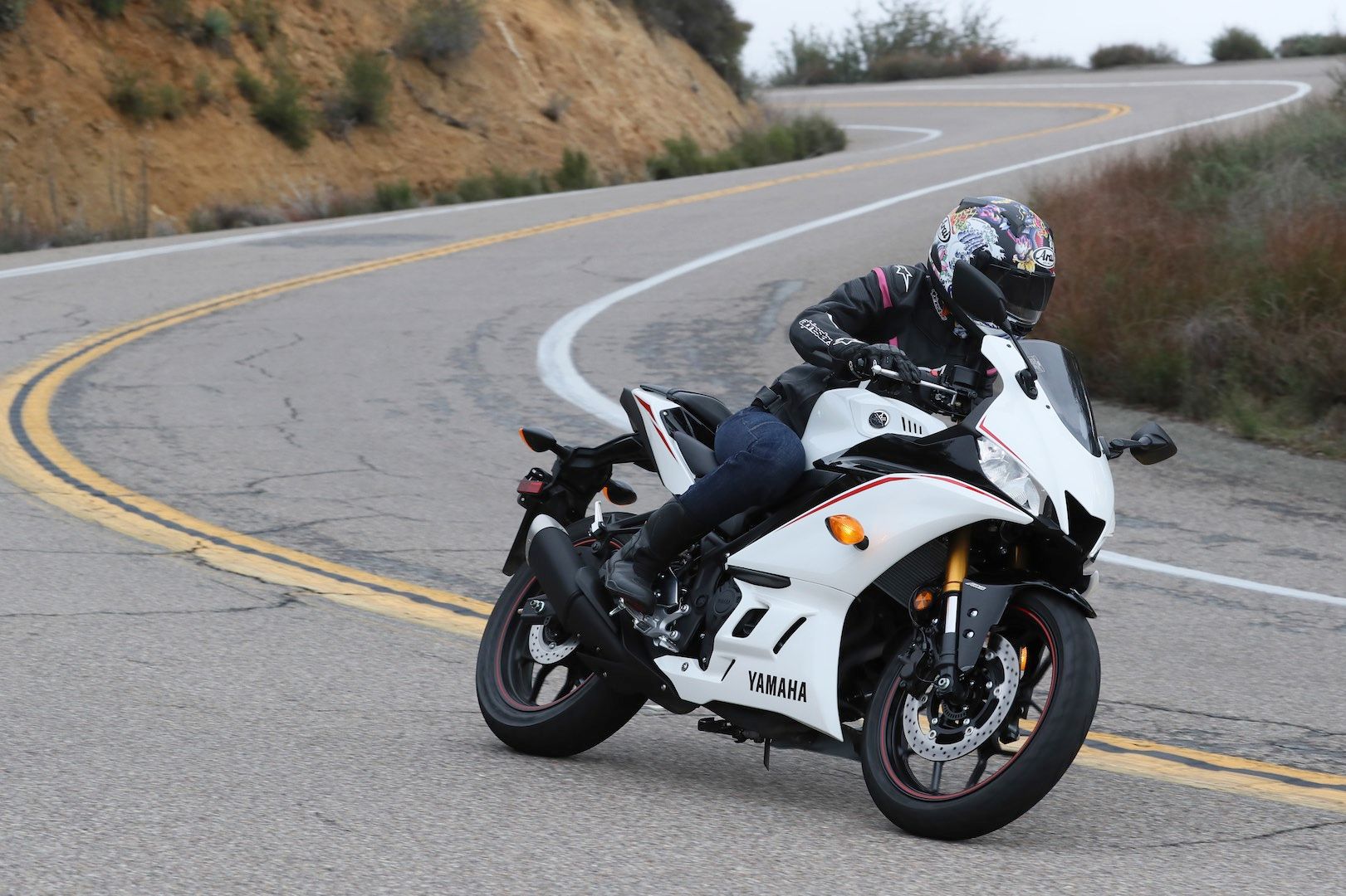 10 Best Sports Bikes For A Beginner Rider