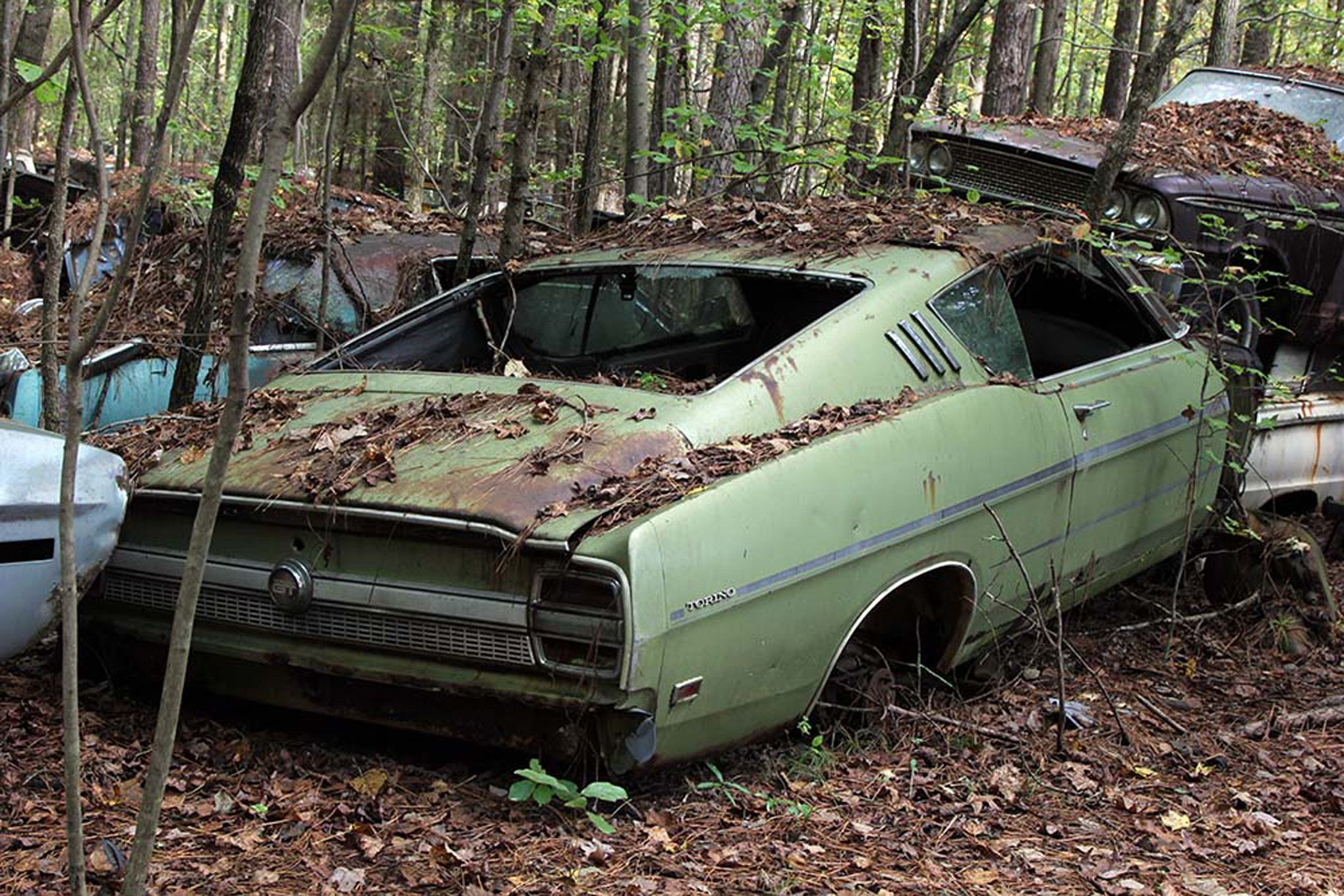 Here Are Some Infuriating Photos Of Perfect American Muscle Cars