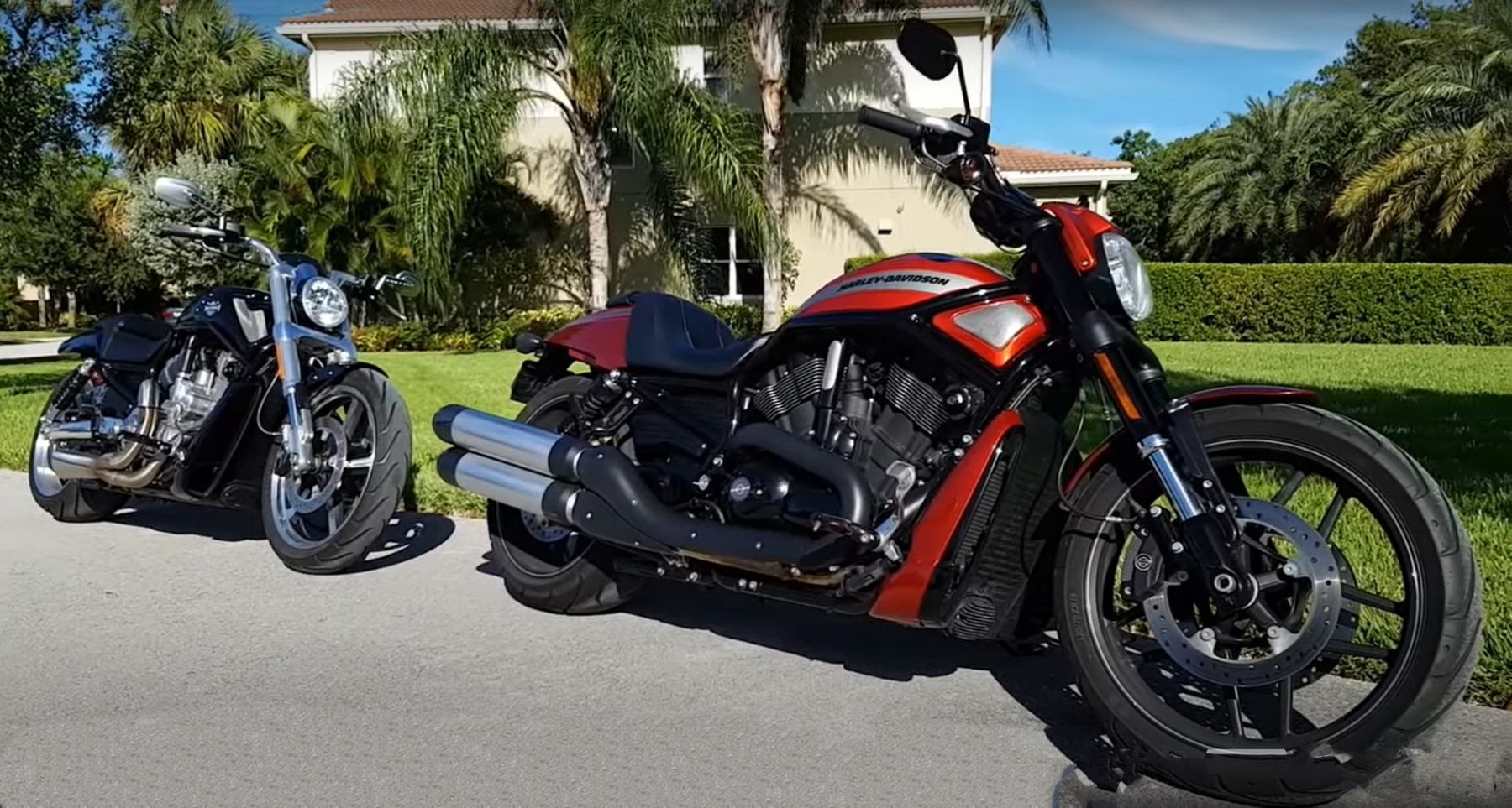 The Main Differences Between The Harley Davidson Night Rod Special And V Rod Muscle