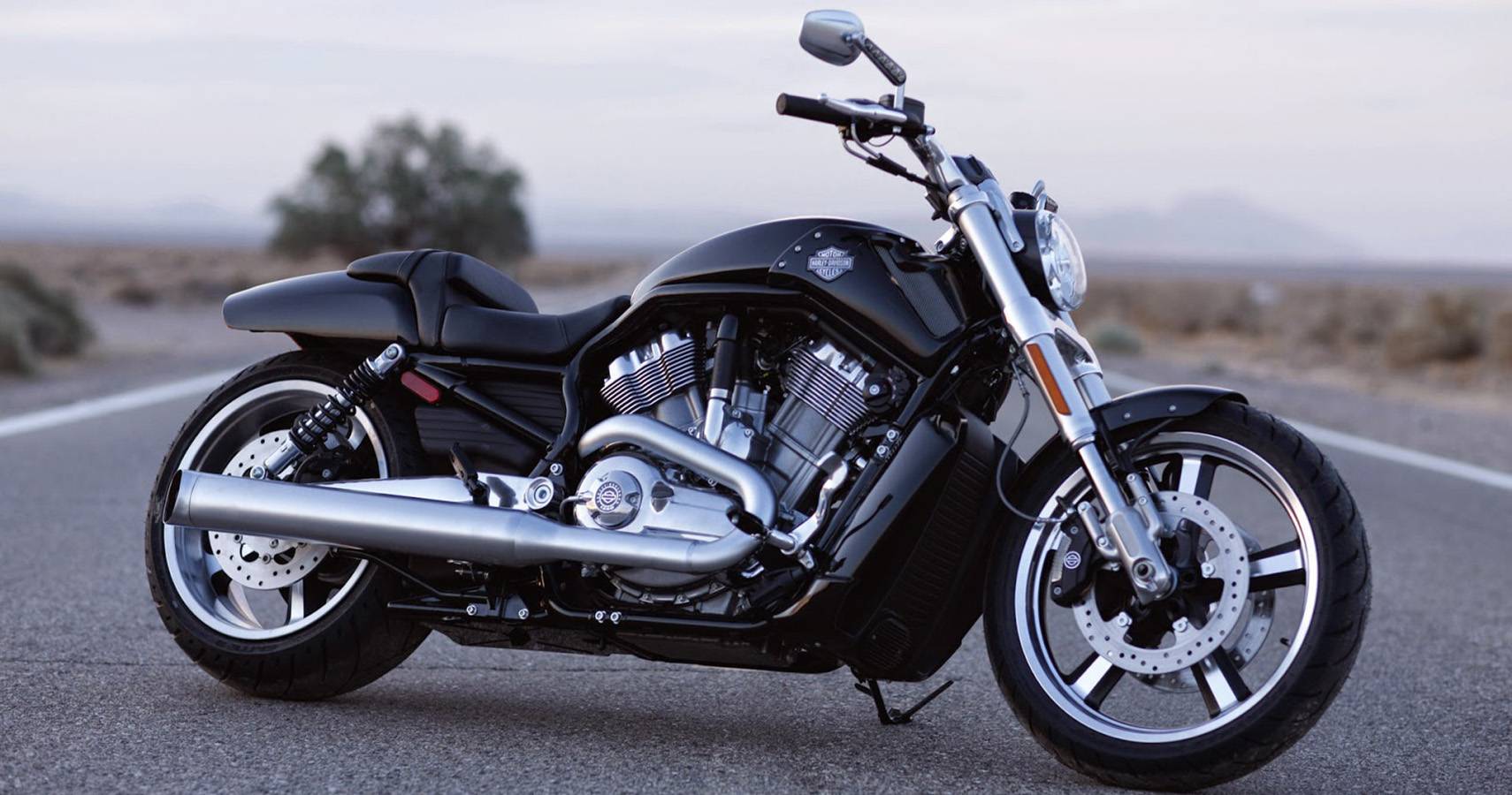 The Real Reason The Harley Davidson Night Rod Was Discontinued