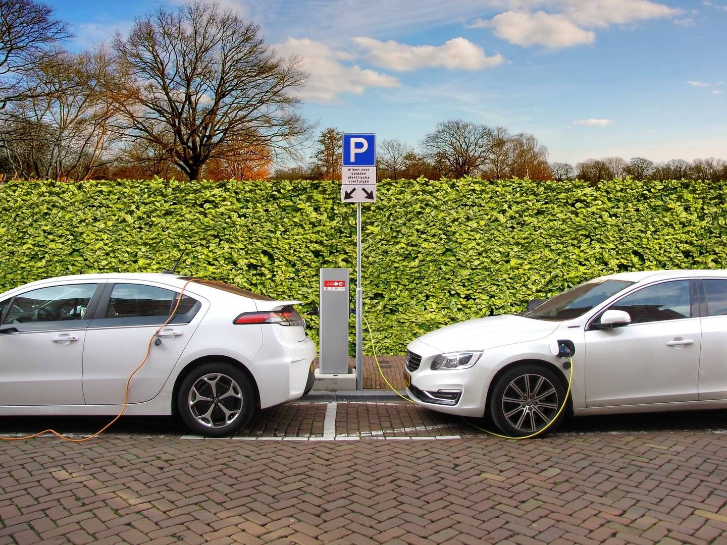 Two hybrid cars at a recharging station