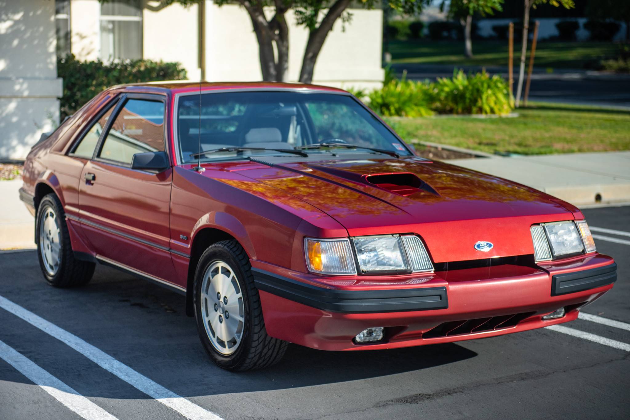 1984 Ford Mustang SVO Factory Shop Service Manual Supplement – Bishko Reprint