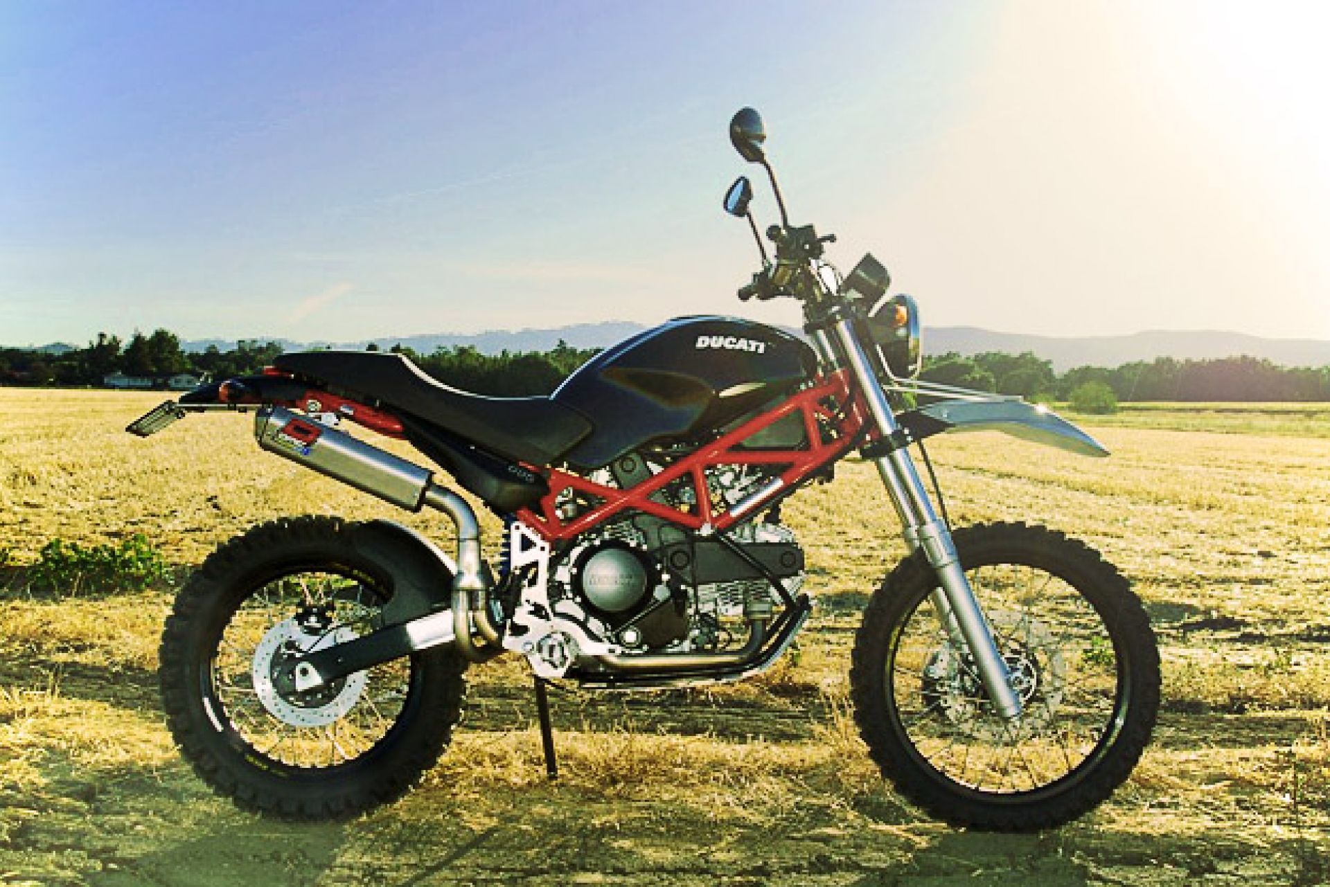 Ducati Monster Terra Mostro profile photo