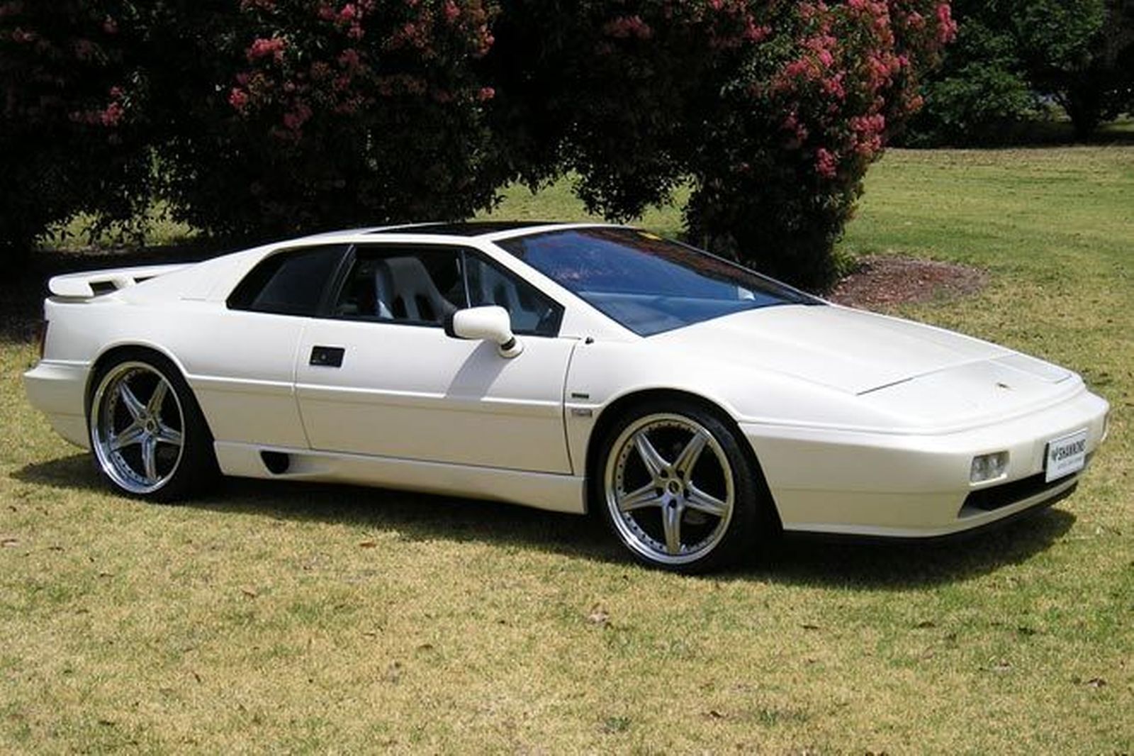 Lotus Esprit Turbo SE parked at a field