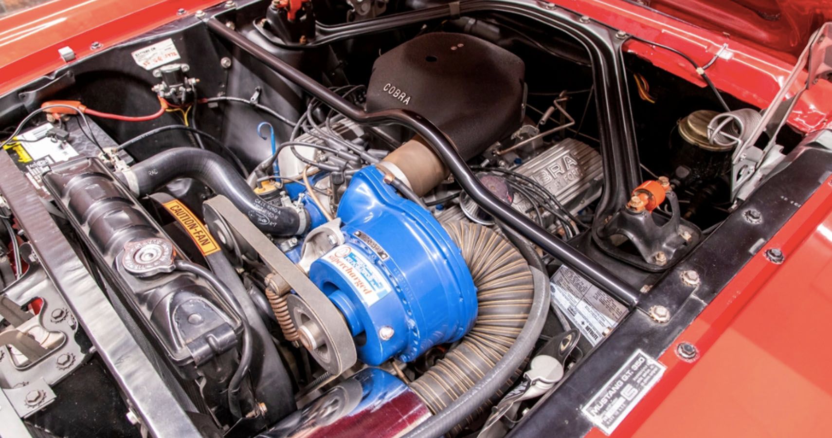 Shelby GT350 Paxton Supercharger 4