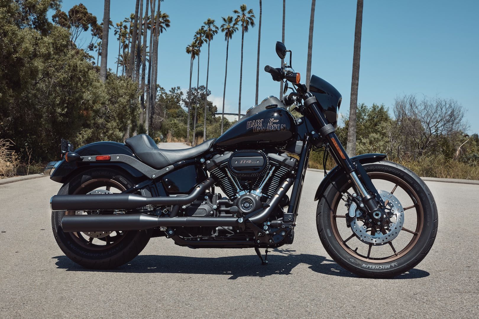 2021 Harley-Davidson Low Rider S (1) in front of palm trees