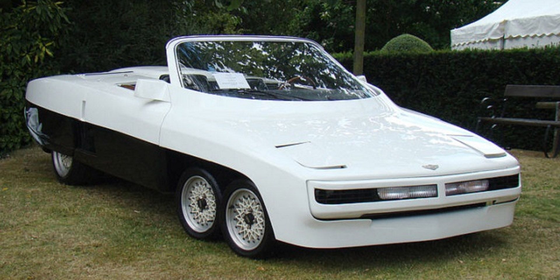 Panther 6