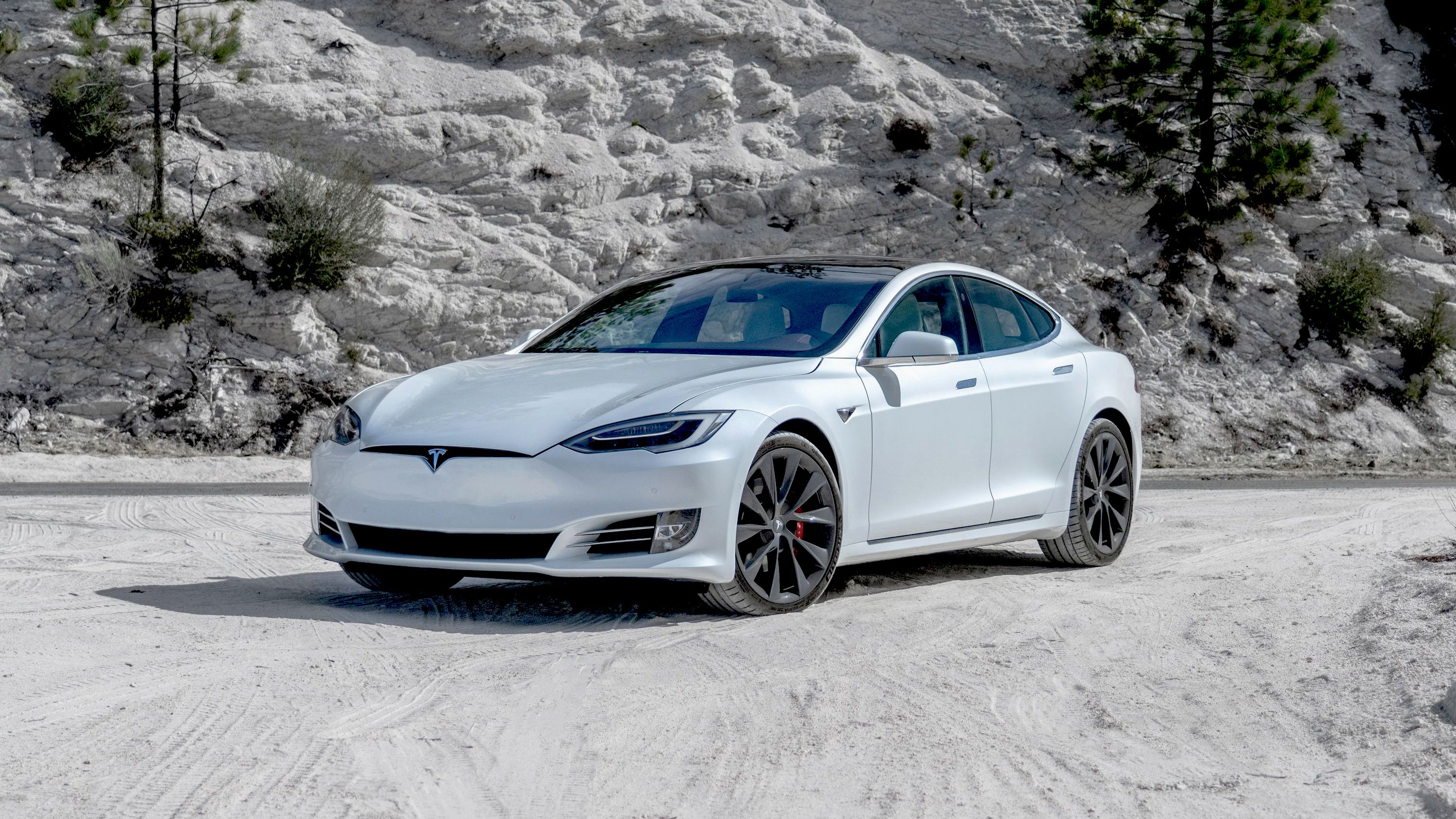 Tesla Model S Performance on a snowy road