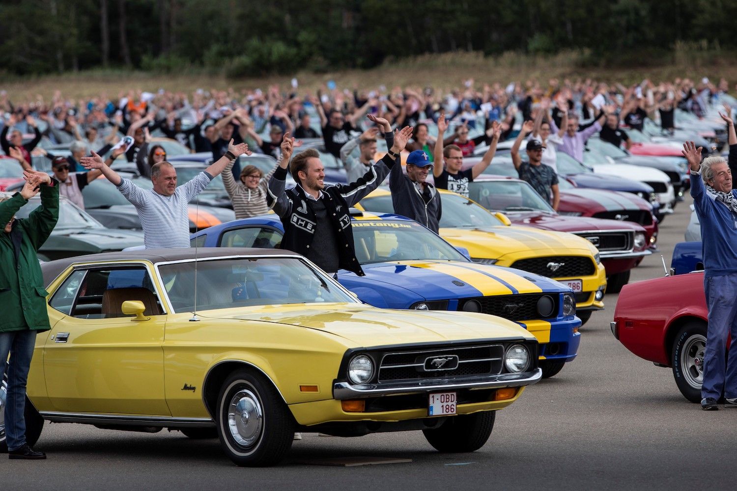 A record 960 people who own Ford Mustangs in a meetup