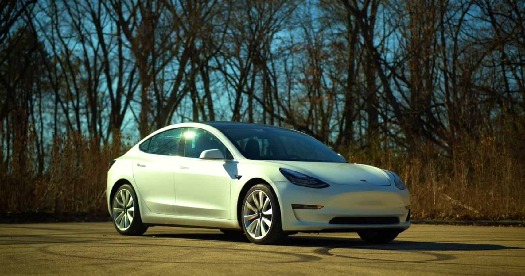 See Savagegeese's Tesla Model 3 Performance For The Good And The Bad