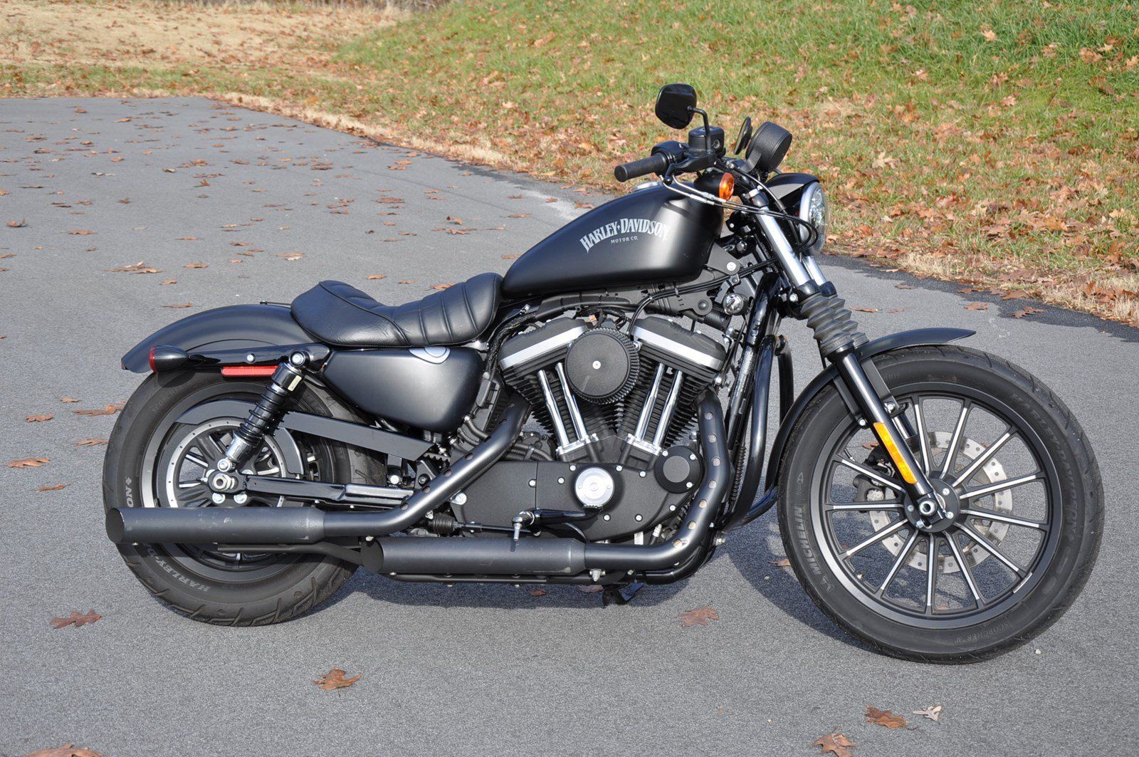 Harley Iron 883 parked on the road