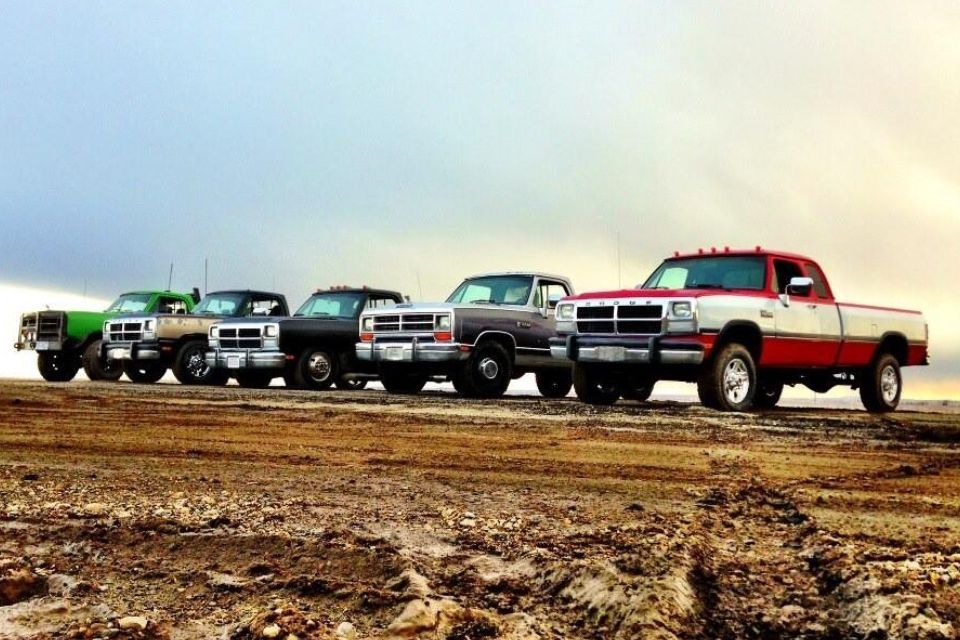 This is a row of first generation Dodge Ram trucks, some of them Cummins powered